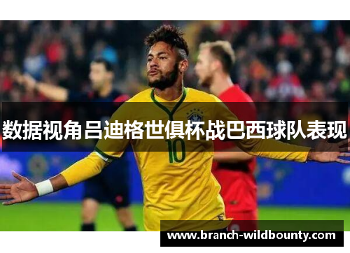 数据视角吕迪格世俱杯战巴西球队表现 数据视角吕迪格世俱杯战巴西球队表现