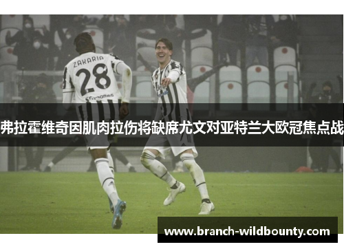 弗拉霍维奇因肌肉拉伤将缺席尤文对亚特兰大欧冠焦点战 弗拉霍维奇因肌肉拉伤将缺席尤文对亚特兰大欧冠焦点战