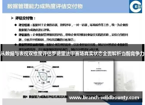 从数据与表现双维度评估罗德里法甲赛场真实状态全面解析当前竞争力