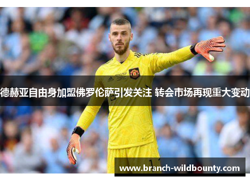 德赫亚自由身加盟佛罗伦萨引发关注 转会市场再现重大变动