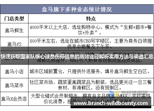 快速获取国家队核心球员伤停信息的高效途径解析实用方法与渠道汇总
